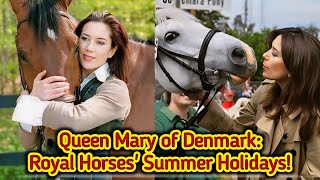 Queen Mary of Denmark Presides Over Royal Horses Majestic Summer Holiday [upl. by Dumm766]