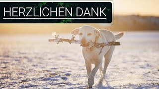 🐕🐶🎄🎄 Vielen herzlichen Dank für die Unterstützung 🐕🐶🎄🎄 [upl. by Ianthe]