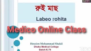 Medico Online Class  রুই মাছ  Dr Shakil  মেডিকো অনলাইন ক্লাস  All Request PDF [upl. by Dayir]