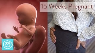 15 Weeks Pregnant What You Need To Know  Channel Mum [upl. by Soloman]