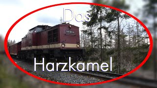 Das Harzkamel  Harzquer  und Brockenbahn [upl. by Bluma310]