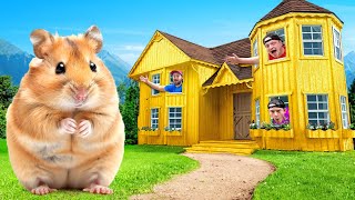 I Built A 100000 Golden Hamster House [upl. by Llehcal]