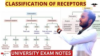 Classification of Receptors Exteroceptors and Enteroceptors CNS Physiology [upl. by Nylirak627]