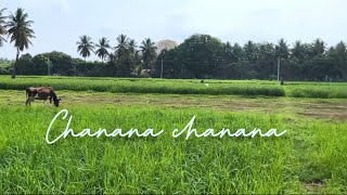 Chanana chanana  Ugram movie  dance cover  City girl in nature  UdayaVenkatesh ✨ [upl. by Addy]