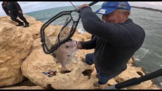 Epic Storm Snapper Sessions  Most Ive Seen Caught EVER Catch and Cook [upl. by Ahcsap711]