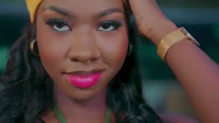 Diaw Diop Didi  Janatou clip officiel feat Wally B Seck [upl. by Nisa]