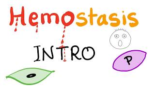 Hemostasis  How your blood clots  Overview [upl. by Lefty]