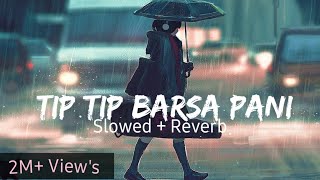 Tip Tip Barsa Pani Slowed amp Reverbed  Mohra  Alka Yagnik amp Udit Narayan  MrMelody [upl. by Rawdin125]