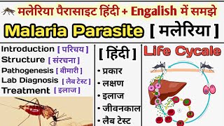 Malaria Parasite in hinid  Malaria Life Cycle  Plasmodium  Treatment of malaria  मलेरिया क्या है [upl. by Odirfliw]