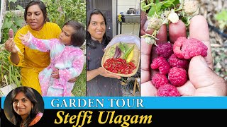 Home Garden Tour in Tamil  Garden Tour  2021 Steffi Ulagam [upl. by Etteiluj]