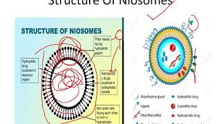 Niosomes nanotechnology part 1 [upl. by Tai925]