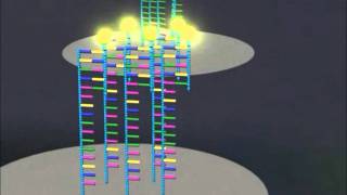 DNA microarrays [upl. by Pepe]