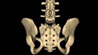 Bilateral Sacral Flexion [upl. by Remliw542]