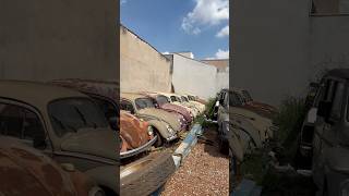 Carros abandonados a venda [upl. by Sirc]