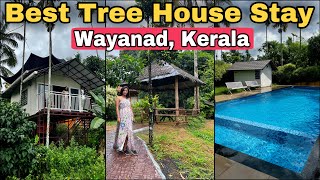 Best Tree House Stay in Wayanad Kerala  Couple Friendly Forest Stay in Wayanad  Culture Travel [upl. by Margery]