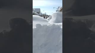 The Snowvember storm remembered shorts shortsvideo [upl. by Ahilam]