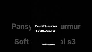 Murmur  Heart Sound  Pansystolic [upl. by Richard]