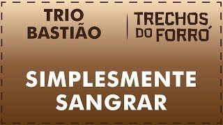 Simplesmente sangrar  Trio Bastião [upl. by Evangelist]