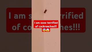 COCKROACH IN THE SHOWER cockroaches scared shorts [upl. by Okajima]