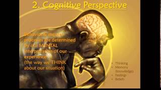 Psych 1  010403 Cognitive Perspective [upl. by Yt]