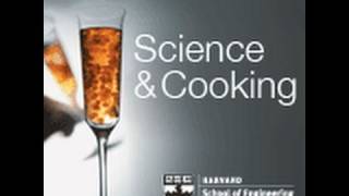 Sousvide Cooking a State of Matter  Lecture 2 2010 [upl. by Ramsey]