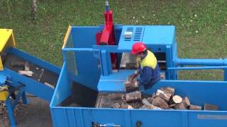 PINOSANET EPCL 400 WORLDS FASTER FIREWOOD PROCESSOR BRENNHOLZ BOIS DE CHAUFFAGE [upl. by Averil]