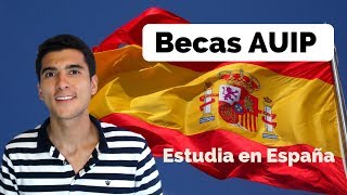 Becas AUIP para estudiar en España [upl. by Twitt718]