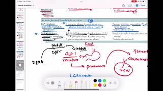 DPP 4 inhibitors mechanism of action endocrinology 91  First Aid USMLE Step 1 in UrduHindi [upl. by Averill42]