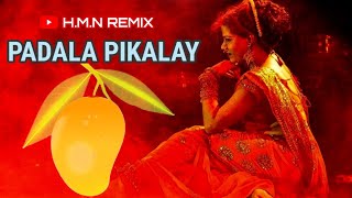 Padala Piklay Amba  पाडाला पिकलाय आंबा  Dj Remix [upl. by Gunilla]