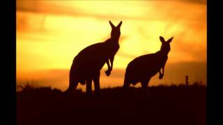 Kangaroo Rémi GAILLARD The song [upl. by Latia701]