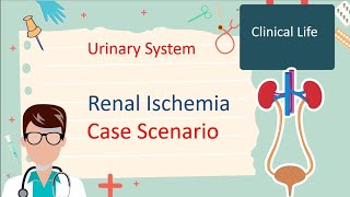 Renal ischemia  Case Scenario 2 [upl. by Aisyla]