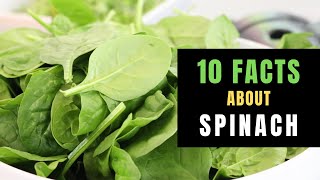 10 INTERESTING FACTS ABOUT SPINACH [upl. by Smalley]