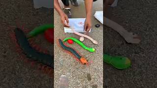 Remote control snake and centipede rc unboxing shorts [upl. by Wellington]