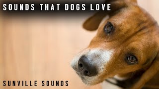 Sounds Dogs LOVE  Animal Sounds with Peter Baeten [upl. by Agnola307]