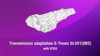 Transmission adaptation STronic DL501 with VCDS [upl. by Abrahams450]