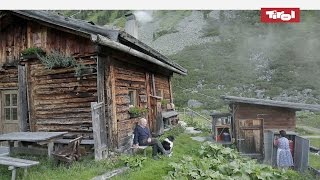 Leben auf der Alm  Almhütten in Tirol Österreich 🐮 [upl. by Collier]