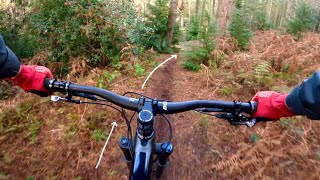 Bacton Woods is Home to East Anglia’s Best Singletrack  Riding Bacton Woods MTB [upl. by Linsk]