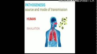 MYCOBACTERIUM TUBERCULOSIS PART 1 [upl. by Fachan945]