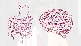 What is the Gut Brain Axis [upl. by Foote]