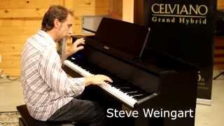 Steve Weingart plays the Casio Celviano Grand Hybrid [upl. by Ordnassela]