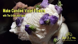 Make Candied Violet Flowers [upl. by Ailahtan]