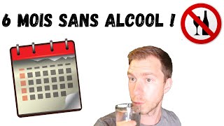 6 MOIS SANS ALCOOL  BILAN ET FIN DE L’EXPÉRIENCE [upl. by Stahl448]