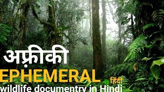 Ephemeral jungle  हिंदी डॉक्यूमेंट्री  Africa wildlife documentry in Hindi [upl. by Ydassac]