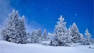 Beautiful Relaxing Music Peaceful Soothing Instrumental Music quotWinter Woodsquot by Tim Janis [upl. by Julissa279]