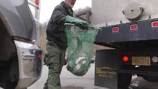 WVDNR increases Buffalo Creek trout stocking [upl. by Tnomed]