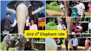 elephantrideesthersfoodkeralaytvideotravelenjoyfoodfoodiejourneyesthersfoodenjoying [upl. by Merfe828]