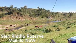 Glen Riddle Reserve near Manilla NSW [upl. by Uot]