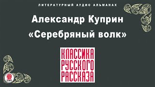 АЛЕКСАНДР КУПРИН «СЕРЕБРЯНЫЙ ВОЛК» Аудиокнига Читает Александр Котов [upl. by Eixela681]