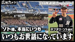 ソト17号！18号！今日もソト様にカメラが接近。本当にいつもお世話になっています！【広報カメラ】 [upl. by Adnohsor937]