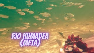 BLOG 2 🌎 RIO HUMADEA🌴GUAMAL META LLANO [upl. by Thilda468]